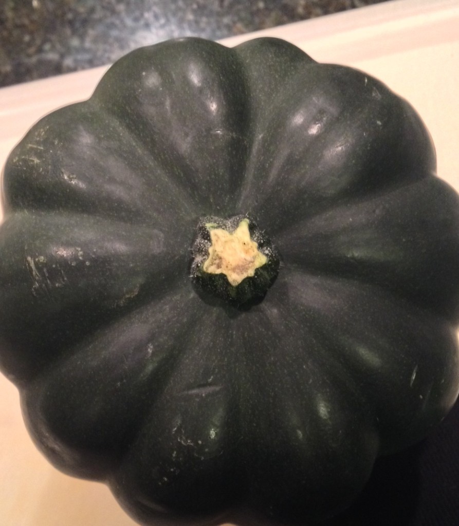 Humble Acorn Squash about to get roasted...