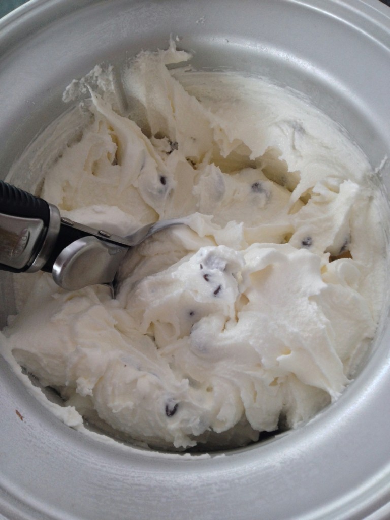 Homemade Vanilla Chocolate Chip Ice Cream
